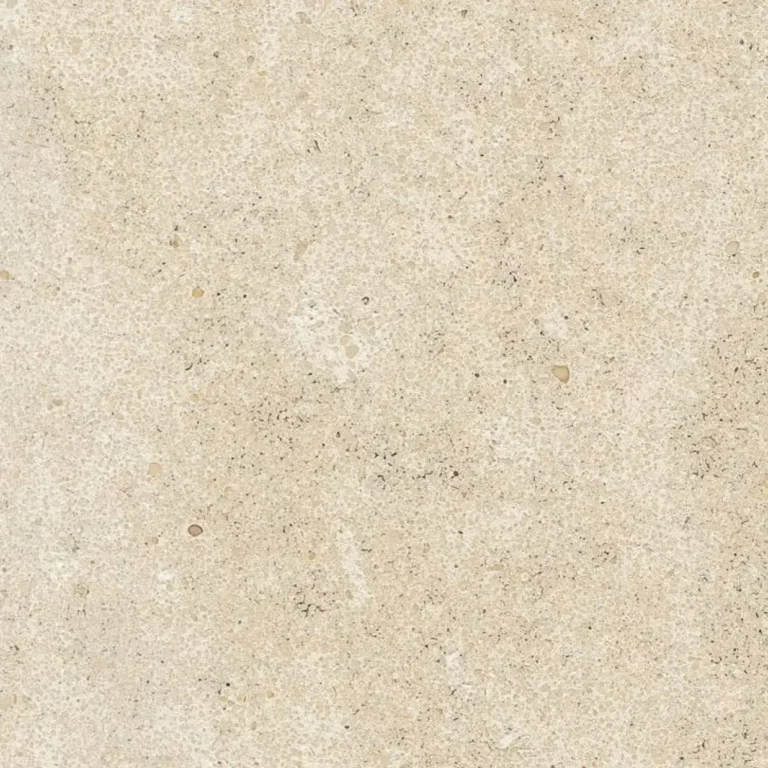 Pierre de Vilhonneur Classique